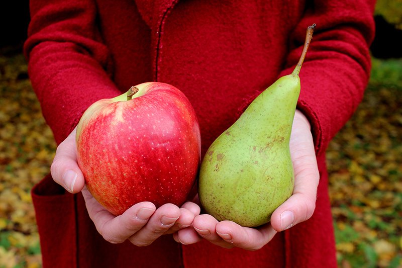 APPLES AND PEARS